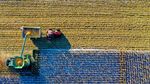 Fraudele alimentare și riscurile pentru sănătate vor fi mai ușor detectate. Comisia Europeană va folosi inteligența artificială pentru depistarea produselor și proceselor neconforme