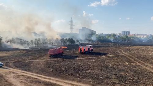Incendiu de vegetație la marginea Aradului / Sunt în pericol unele clădiri din zonă