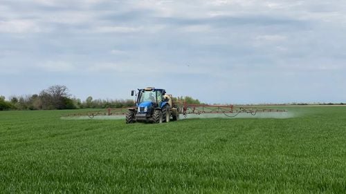 Fondurile pentru instalarea tinerilor fermieri, epuizate/ Au fost depuse cereri de peste 260 de milioane de euro