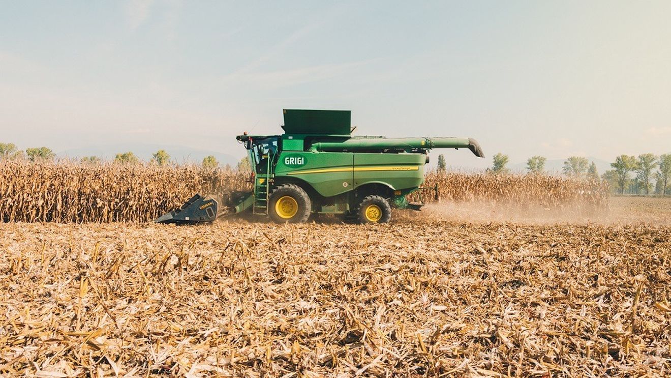 Fermierii din România și alte țări din estul UE, nemulțumiți că cerealele ieftine din Ucraina au invadat piața