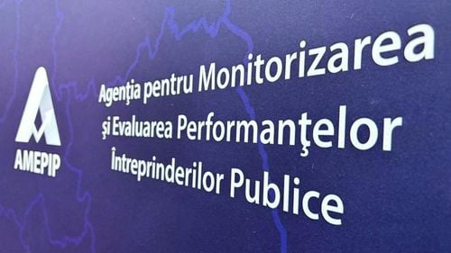 Senatul a respins proiectul Cristinei Prună (USR) de desfiinţare a super-agenției AMEPIP care gestionează toate companiile de stat. Urmează votul decisiv din Camera Deputaților