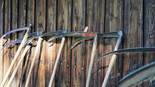Muzeul Astra din Sibiu caută cosași voluntari / Doritorii sunt așteptați cu slănină, ceapă și miros de fân proaspăt  