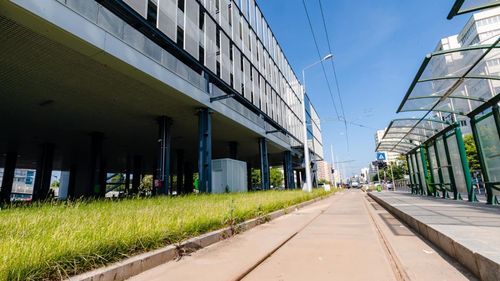 Tramvaiele liniei 55 vor întoarce în noul terminal "Pantelimon", începând de joi