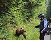 Amenzi de peste 100 de mii de lei date într-o lună și jumătate turiştilor care au hrănit urşii pe Transfăgărăşan / ”Hrănirea urşilor nu este un act de bunătate. Este un pericol real pentru siguranţa publică”