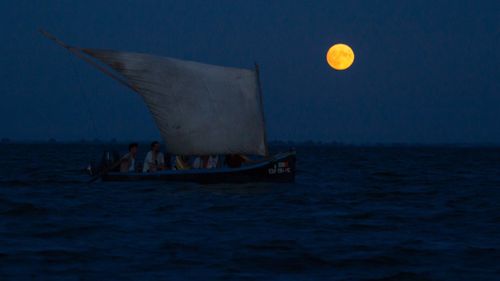La Sarichioi începe Regatta Nod în papură, concurs de lotci cu vele / Premiile, acordate de campionul mondial la canoe Cătălin Chirilă