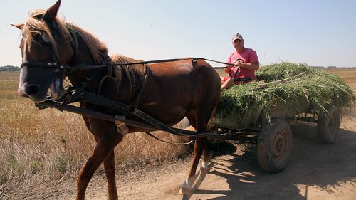 Mlaștină cu potențial turistic sau teren agricol: luptă între un ONG și fermieri în Delta Dunării