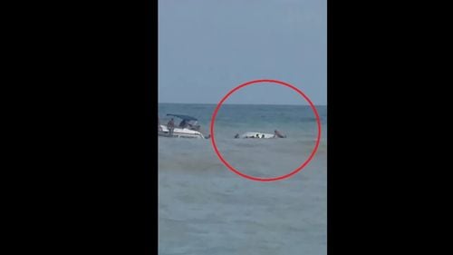 O barcă cu cinci pasageri s-a răsturnat la Costinești, toți au fost salvați