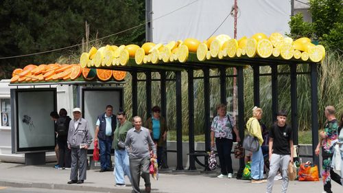 FOTO Primăria Craiova a montat fructe gigant peste stațiile de autobuz din municipiu / Primar: ”Montăm butaforie cu fructe pe toate stațiile din sticlă” / Times New Roman: „Dacă puneam praz, îl mâncau” / Ce părere aveți despre noile decorații?