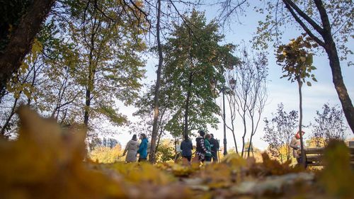 Bucureşti, capitala europeană fără un registru al Spaţiilor Verzi. Nicuşor Dan: "Probabil în doi ani şi jumătate, trei, el va fi parte componentă a Planului Urbanistic General (PUG)". Care sunt riscurile