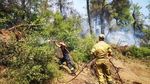 Autoritățile din regiunea Attica, Grecia, rămân în alertă maximă din cauza riscului ridicat de incendii de vegetație