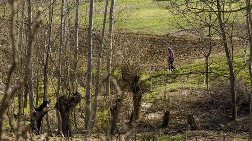 Secetă pedologică în cea mai mare parte a Dobrogei şi în unele zone din Moldova şi Muntenia / Temperaturile vor fi mai ridicate cu 1 - 9 grade față de media ultimilor ani, în următoarele zile