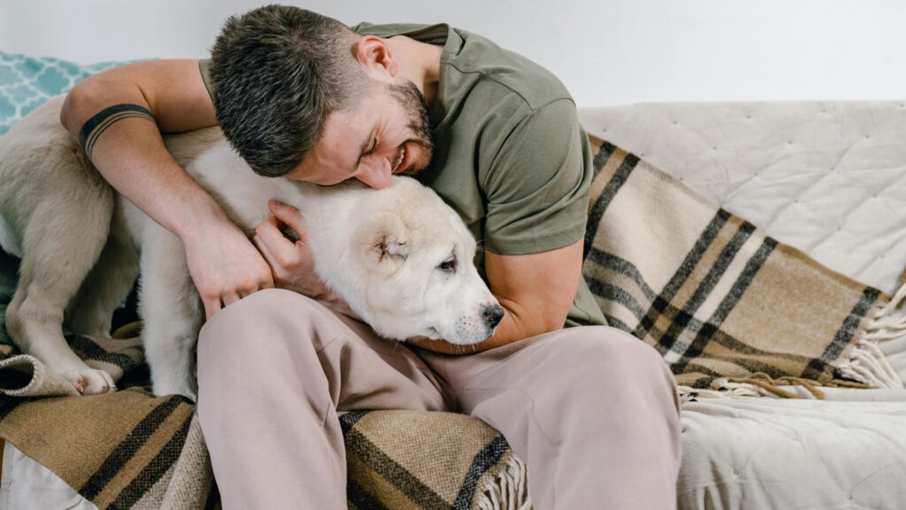 STUDIU: Felul în care tratezi animalele reflectă cum iubești oamenii