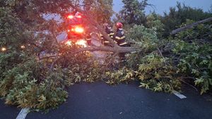 UPDATE Peste 2.200 de consumatori din judeţul Bihor nu au în continuare energie electrică în urma furtunii de sâmbătă seară