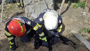 Un cățel a fost salvat dintr-o fântână de 12 metri adâncime / Pompierii l-au scos aproape mort