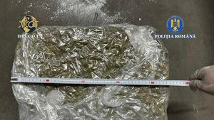 O femeie şi un bărbat care ar fi introdus în ţară 14 kilograme de canabis, reţinuţi / Drogul era adus în ţară din Spania, printr-o firmă de curierat