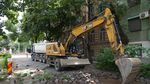Primăria Timișoara, ample lucrări de regenerare urbană în Piața Corneliu Micloși / Piatra cubică va fi strânsă și păstrată pentru a fi reutilizată