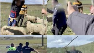 Angajații unei stațiuni de cercetare din Botoșani, fugăriți cu bâtele de ciobani / Oierii au intrat cu turmele pe terenurile instituției /  ”A început jihadul, am crezut că ne omoară acolo”