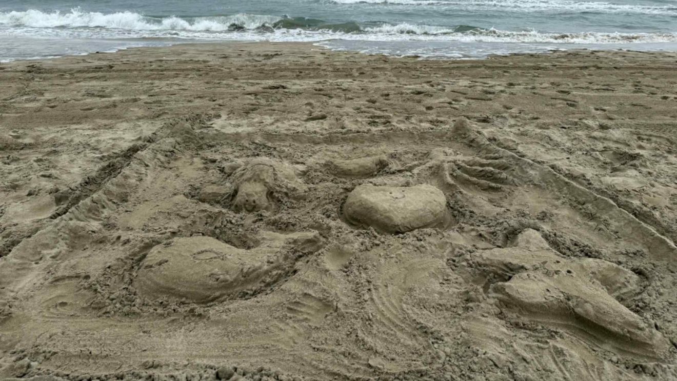 Australia închide zeci de plaje de pe coasta estică după mai multe atacuri ale rechinilor