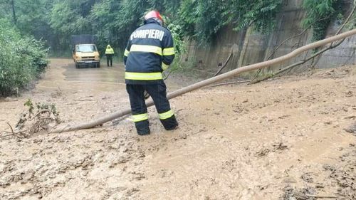 Trei şosele din judeţul Hunedoara au fost blocate, sâmbătă, în urma căderilor de copaci şi stânci pe carosabil