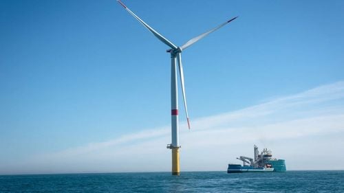 Cristina Prună, USR: Parlamentarii au refuzat ca redevențele din energia eoliană offshore să meargă către pensiile românilor, pe model norvegian