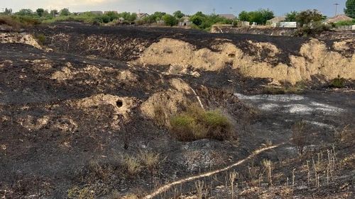 UPDATE Incendiul din Ialomița s-a extins la 100 de hectare de vegetație/ Flăcările au cuprins și două anexe gospodărești