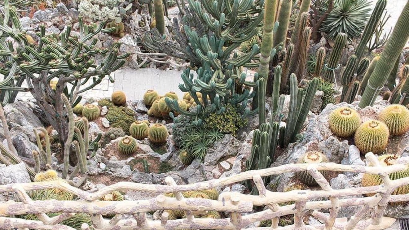 Nicuşor Dan: Cele patru pavilioane Expoflora cu flori exotice din Parcul Regele Mihai I se vor redeschide pentru public în luna mai / Plante de colecție din Indochina, Caraibe sau Oceania