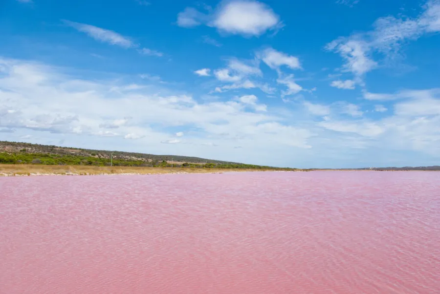 Lacul Hillier-lac roz-australia
