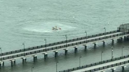 Anchetatorii analizează rapoartele privind un stol de păsări reperat lângă locul prăbușirii elicopterului în New York