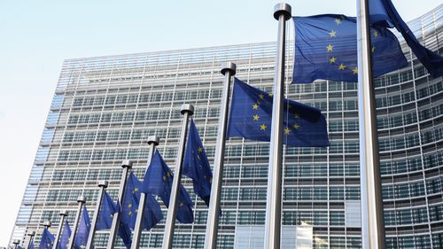 Parlamentul European îl recunoaşte pe Edmundo Gonzalez Urrutia ca preşedinte legitim şi ales democratic al Venezuelei