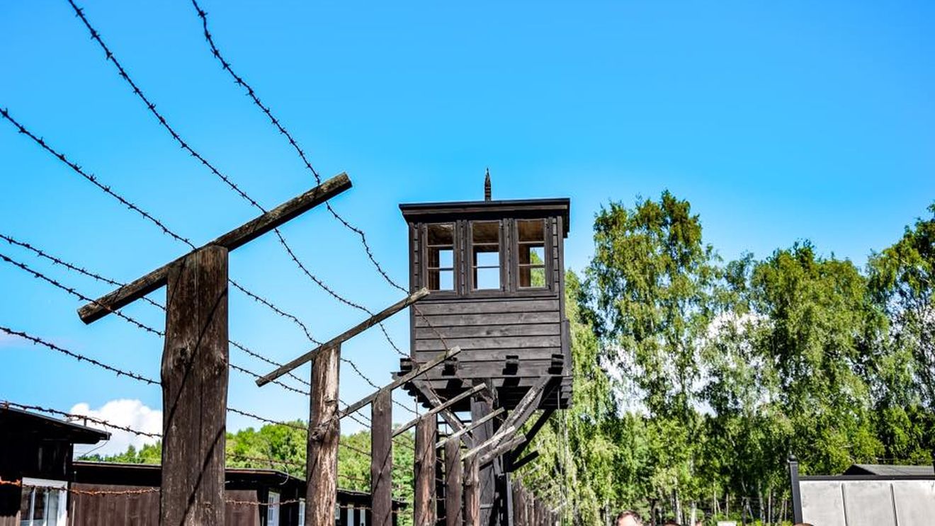 Institutul de Investigare a Crimelor Comunismului, de Ziua Europeană a Comemorării Victimelor Stalinismului şi Nazismului: „Atrocităţile trecutului nu trebuie repetate”