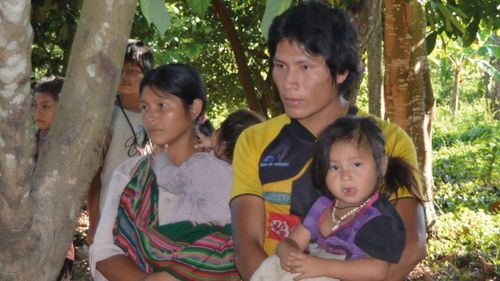 Tsimane, oamenii ale căror inimi îmbătrânesc mai greu și care au cele mai sănătoase artere din lume / Ce dietă au și cum îi menține în formă obținerea hranei