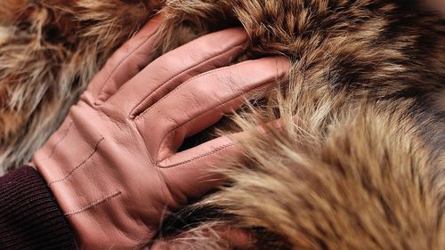 Fără fotografii cu haine de blană. Revista de modă ELLE anunță că interzice imaginile cu blănuri naturale atât în publicație, cât şi în spaţiile sale publicitare