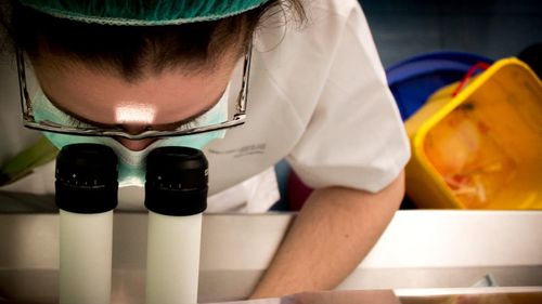Cercetătorii Ad Astra îi cer ministrului Hurduc să publice declarațiile de avere ale tuturor directorilor generali de institute de cercetare