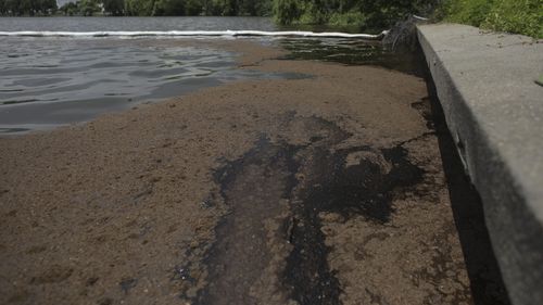 Poluare pe lacul Băneasa/ ”Apele Române”: Vor fi montate în continuare baraje absorbante. Monitorizarea va continua cu privire la mortalitatea piscicolă şi afectarea biodiversităţii