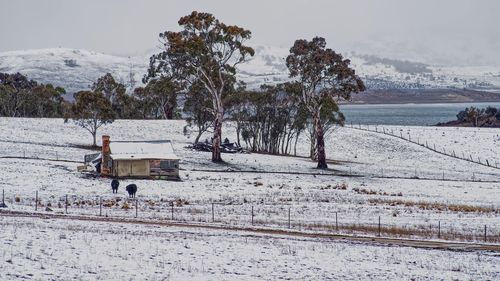 Oraşe din Australia au fost acoperite de zăpadă, un fenomen rar, cauzat de condiţii meteorologice neobişnuite