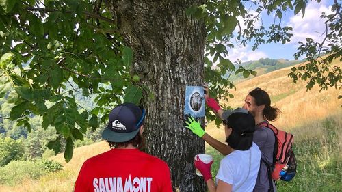 Marcaje de drumeție, distruse de turiști. Salvamont Sibiu: Asistăm neputincioși cum efortul unor instituții este distrus de persoane frustrate