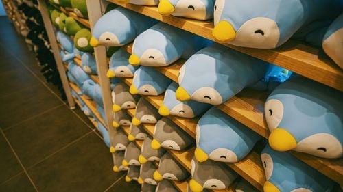 Gen Z și Millennials reînvie industria jucăriilor cu dragostea pentru plușuri