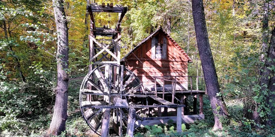 Muzeul satului ASTRA Sibiu