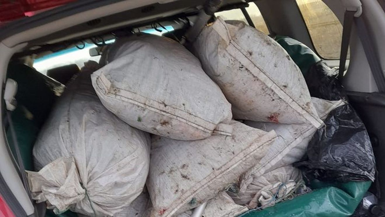 Braconier din Vâlcea prins cu peste 200 de kg de pește pe Olt