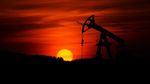 Emiratele Arabe Unite ating un nou record al producției de petrol după ieșirea din OPEC