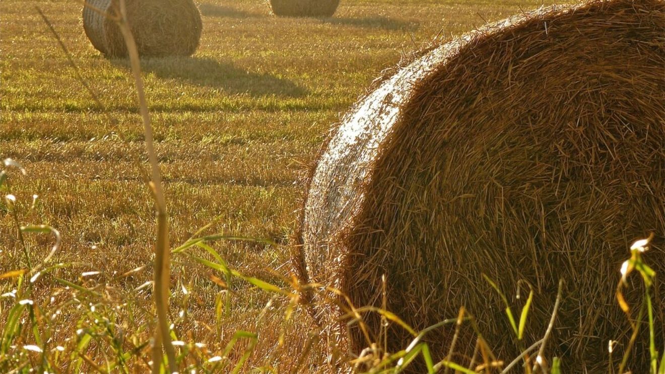 Pompierii au încercat timp de 13 ore să stingă un incendiu care a cuprins peste 1000 de baloturi de paie în Bihor