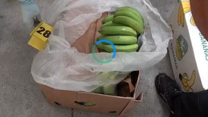 BREAKING Jumătate de tonă de cocaină în valoare de 25 de milioane de euro descoperită într-un depozit de lângă București