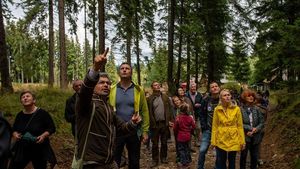 ONG-ul Declic acuză UDMR că manipulează publicul în legătură cu protecția parcurilor naționale ale României. ”În ultimii 3 ani, doar Romsilva a tăiat din parcurile naționale 700.000 de metri cubi de lemn”
