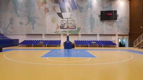 Lupta frasinului românesc cu arțarul nordic, în Timișoara / Consilierii locali sunt indeciși în privința suprafeței de joc ce se va instala la o sală de sport / Consilier: Dacă se ia arțar din America, acolo se va face o gaură în ozon, nu în România