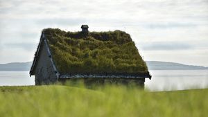 Parlamentul European cere o lege privind biodiversitatea: cel puțin 30% din suprafețele terestre și maritime ale UE să fie arii protejate, acoperișuri verzi pe clădirile noi