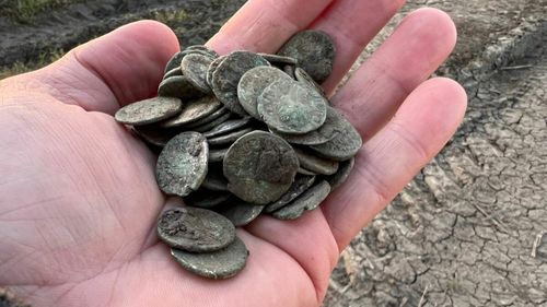 Foto: Tezaur roman format din peste 100 de monede din perioada 90-180 e.n., descoperit pe un teren agricol de lângă Ocna Mureș, de un posesor legal de detector. Arheologii au preluat căutările