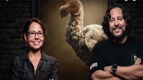 Cercetătorii vor să readucă la viață pasărea Dodo, dispărută în urmă cu 400 de ani/ Contestatarii susțin că sumele uriașe pe care le implică proiectul ar putea fi folosite pentru protejarea actualelor specii de păsări