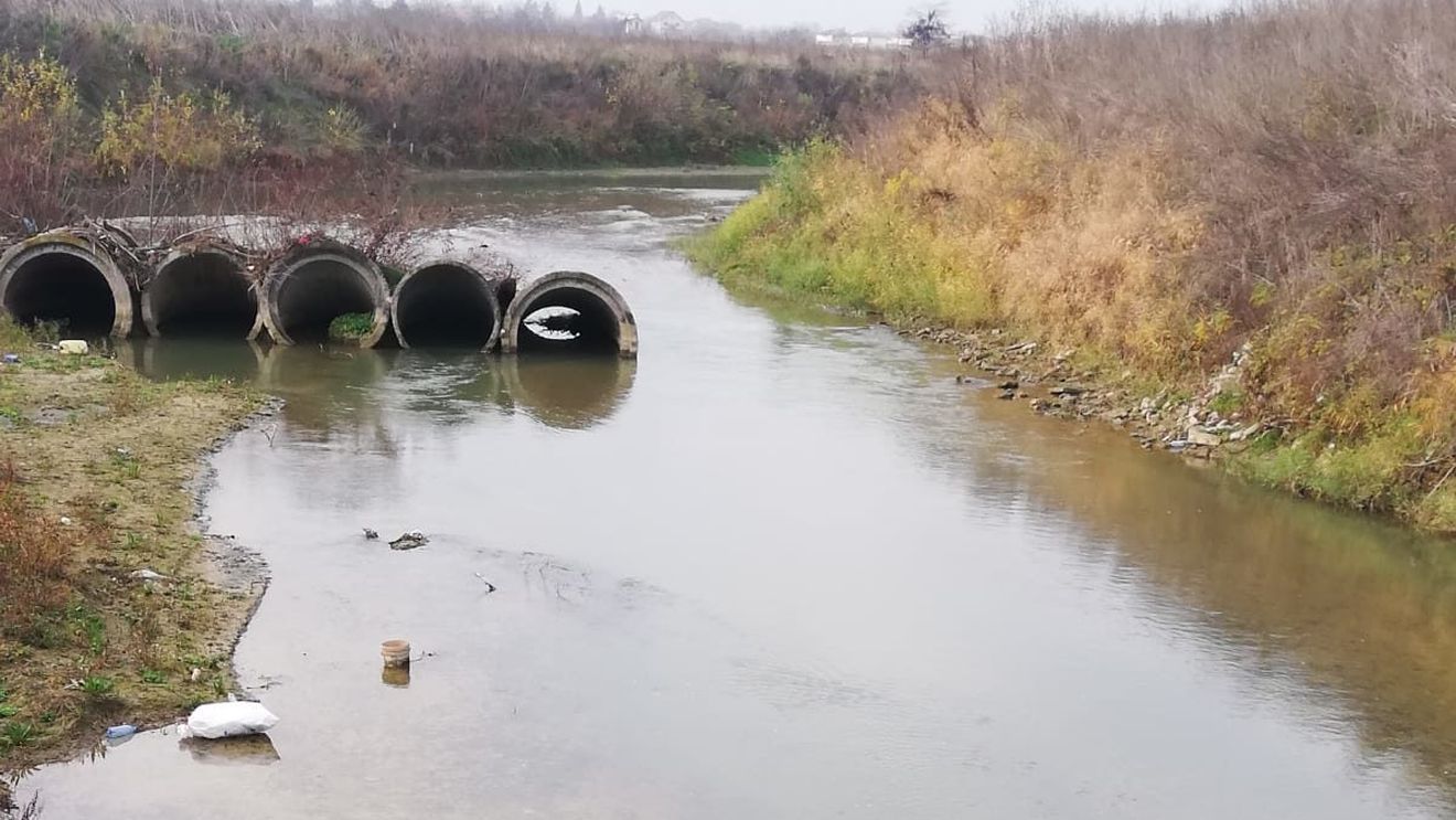 Amendă record pentru distribuitorul de apă britanic Thames Water din cauza deversării repetate de ape uzate