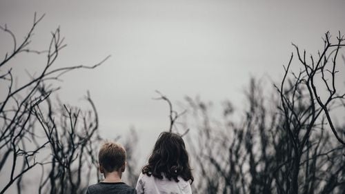 Gabriela Firea anunță că doi copii ai familiei Furdui s-au întors în familie după o decizie a justiției din Germania / Ceilalți cinci copii rămân sub protecția autorităților