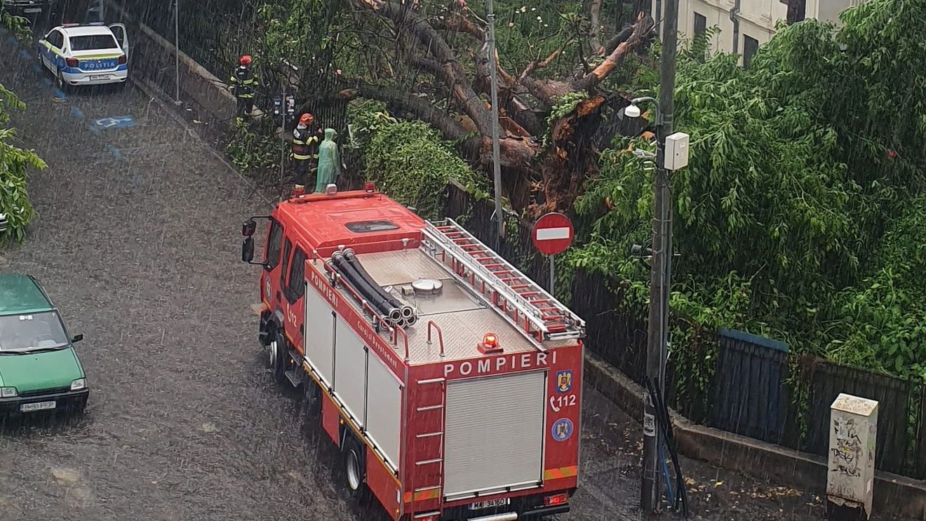 Explicația primarului Sectorului 6, de ce cad atât de mulți copaci în București: au multă frunză, sunt grei, iar pământul e moale / Ciprian Ciucu: ”Fiind în mediu urban, rădăcinile nu sunt foarte dezvoltate”